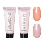 Набор Гибрид акрила и геля ELASTONE GEL 2 оттенка (№3943, №6060) по 18 мл №1291М