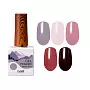 Набор гель-лаков Gel polish (hema free) 5 оттенков (№9882, №9888, №9889, №9895, №9900) по 10 мл, №1310М