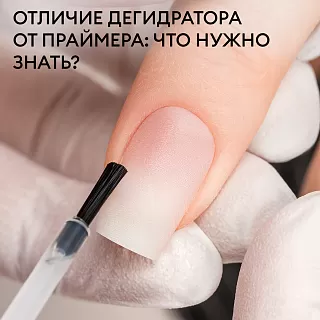 Отличие дегидратора от праймера: что нужно знать?